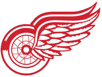 Detroit Red Wings 1973-1984 Alternate Logo iron on transfers for clothing